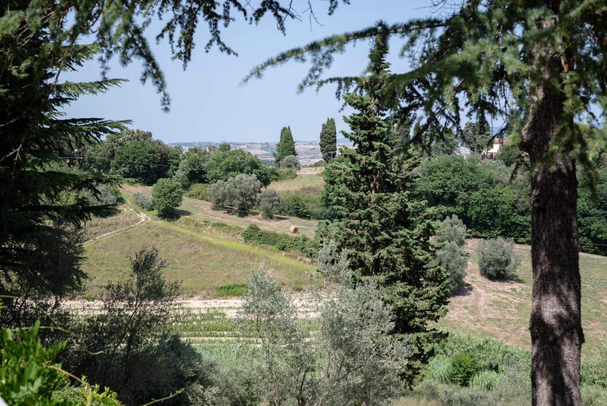 Agriturismo Terre Della Rinascita Castelnuovo della Misericordia Luaran gambar