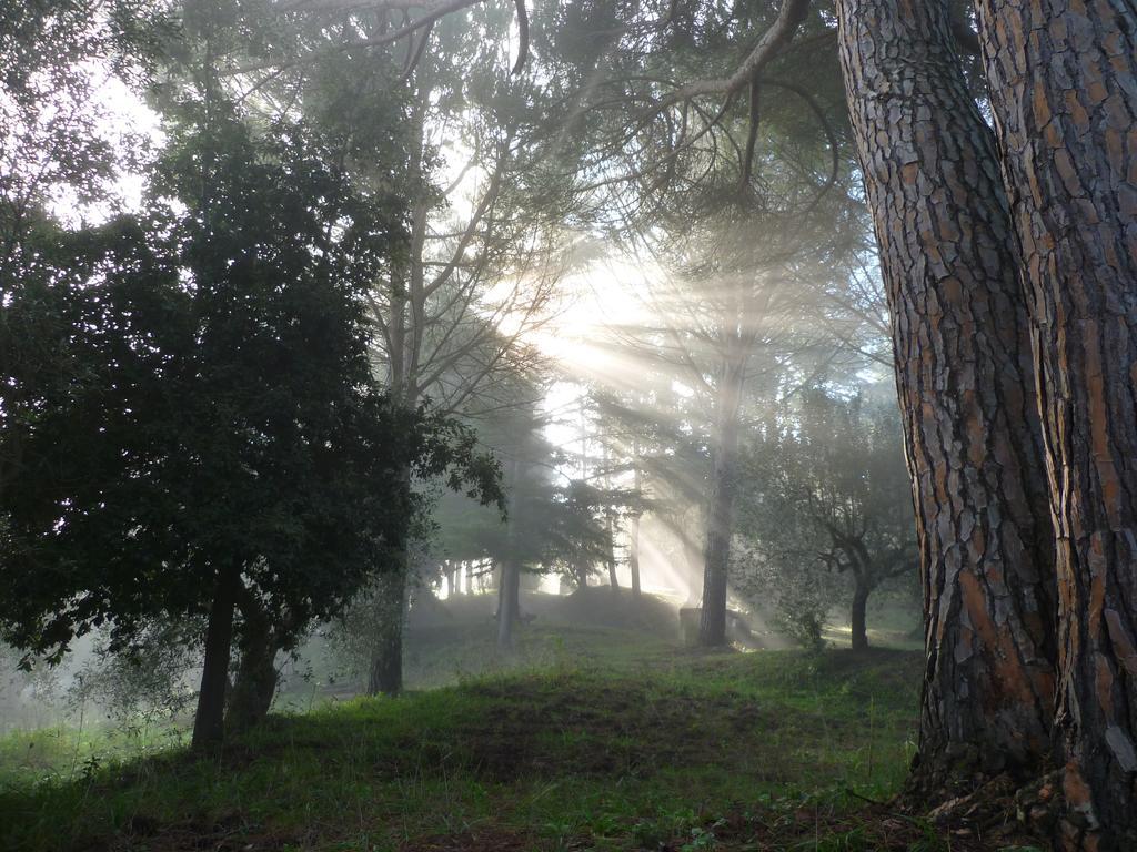 Agriturismo Terre Della Rinascita Castelnuovo della Misericordia Luaran gambar